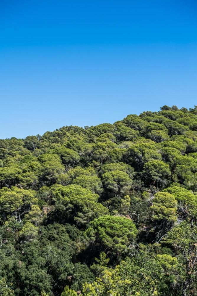 Camping Sunissim Cala Llevado 4 By Locatour Hotel Tossa de Mar Eksteriør billede