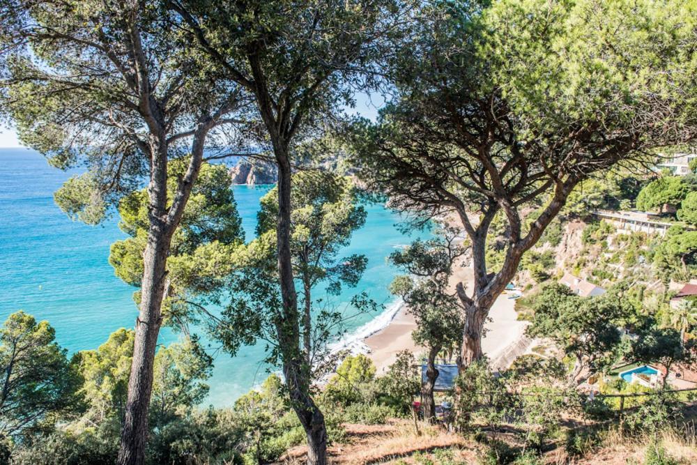 Camping Sunissim Cala Llevado 4 By Locatour Hotel Tossa de Mar Eksteriør billede
